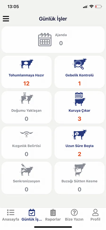 Besi Sığırı Programı Mobil Ekran Görüntüsü 1