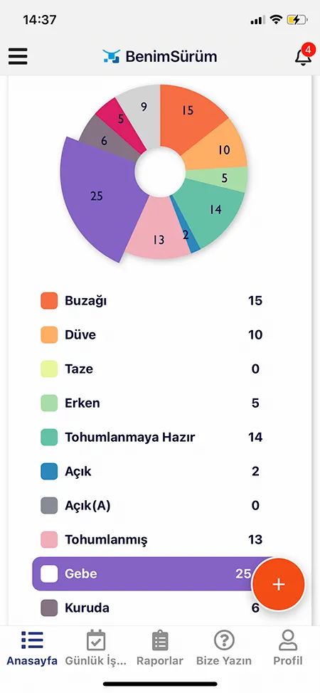 Büyükbaş Doğum Hesaplama Mobil Ekran Görüntüsü 1