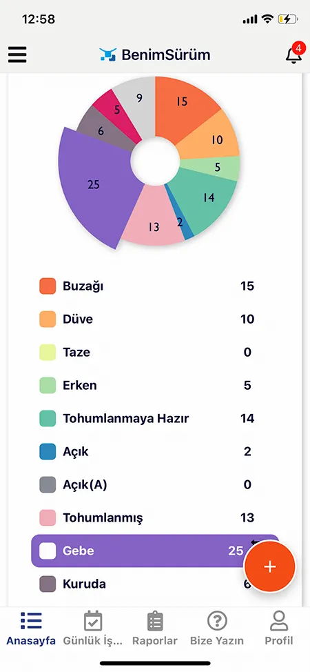 Büyükbaş Doğum Hesaplama Mobil Ekran Görüntüsü 2