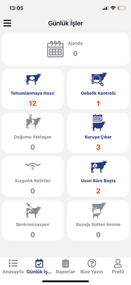 Süt İneği Programı Mobil Ekran Görüntüleri 1